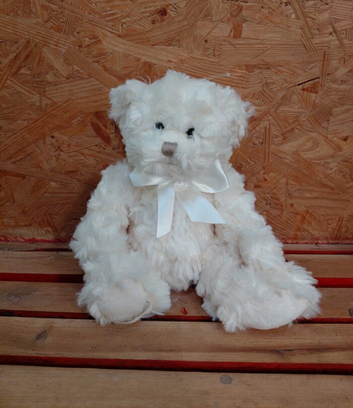 Ours Teddy