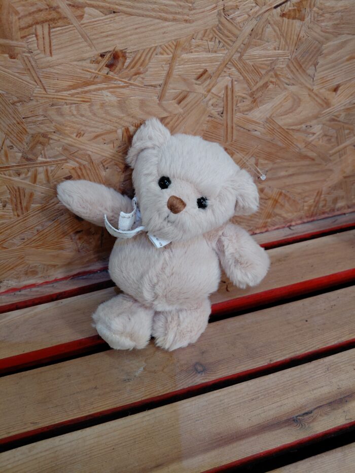 Petit Ours