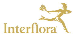 Logo Interflora — Anne Duchâteau Boondael est membre du réseau Fleurop-Interflora